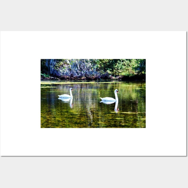 Swans At The Lake Wall Art by Cynthia48